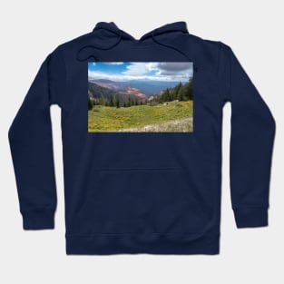 Park Road View - Cedar Breaks - Utah Hoodie